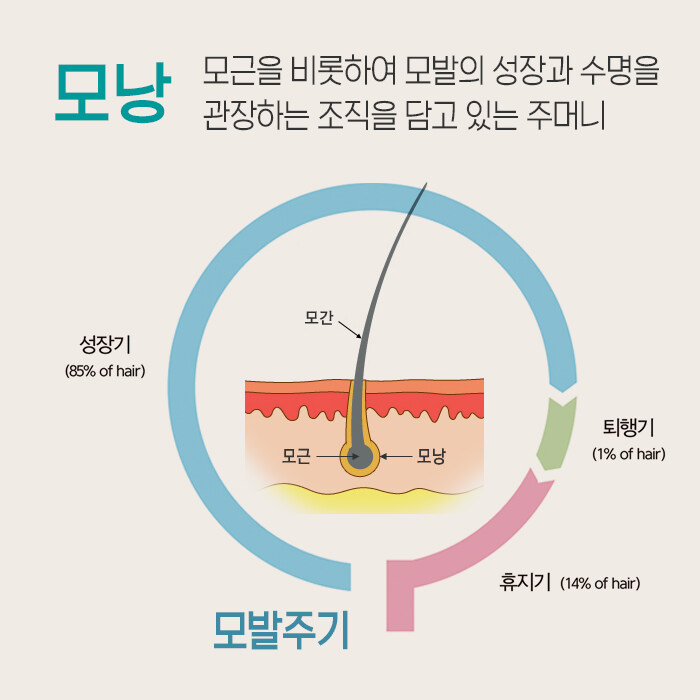탈모 치료가 굉장히 어려운 이유_1.jpg