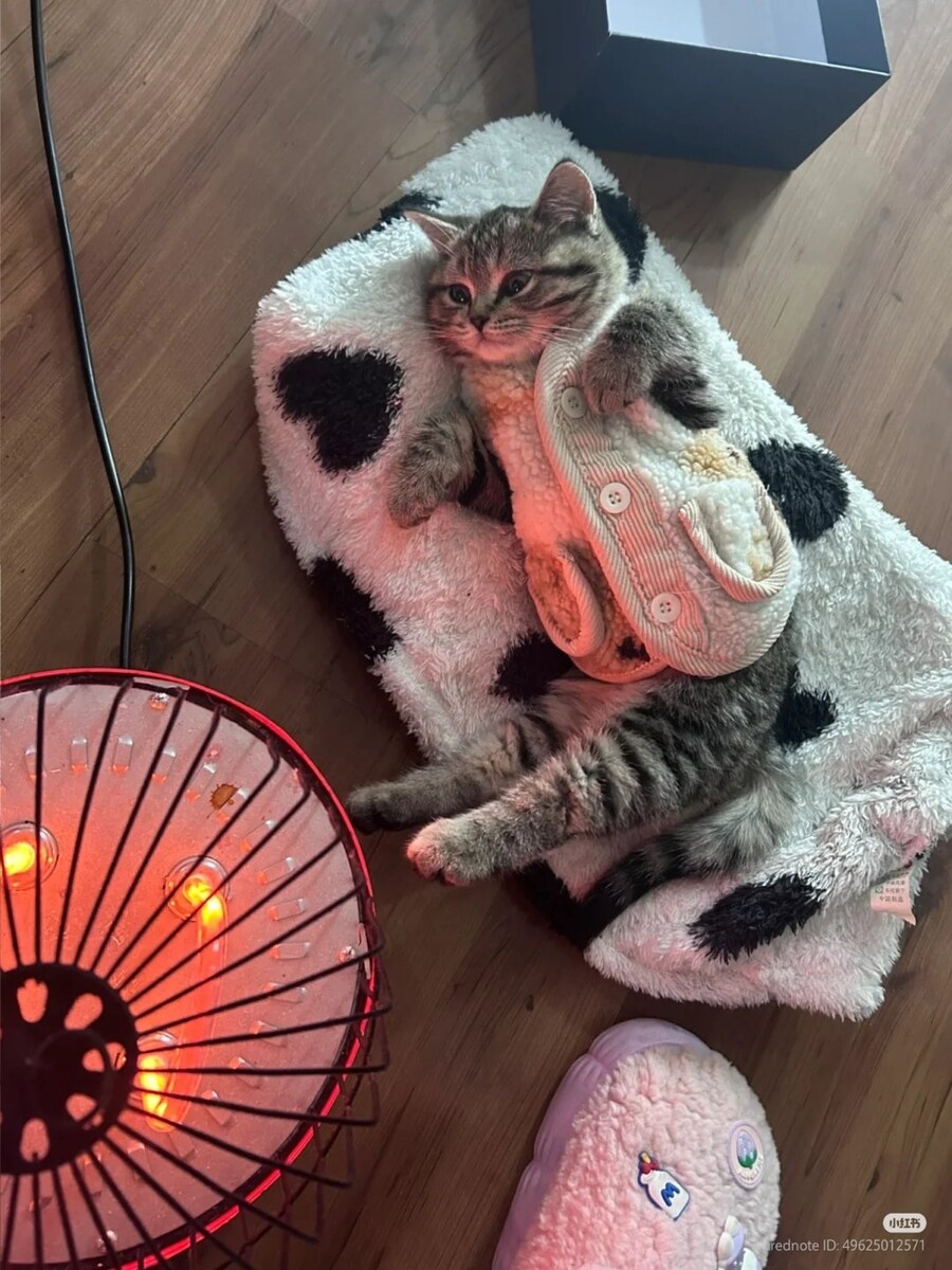 고양이: 아...뒷발 따뜻하다... _1.jpg