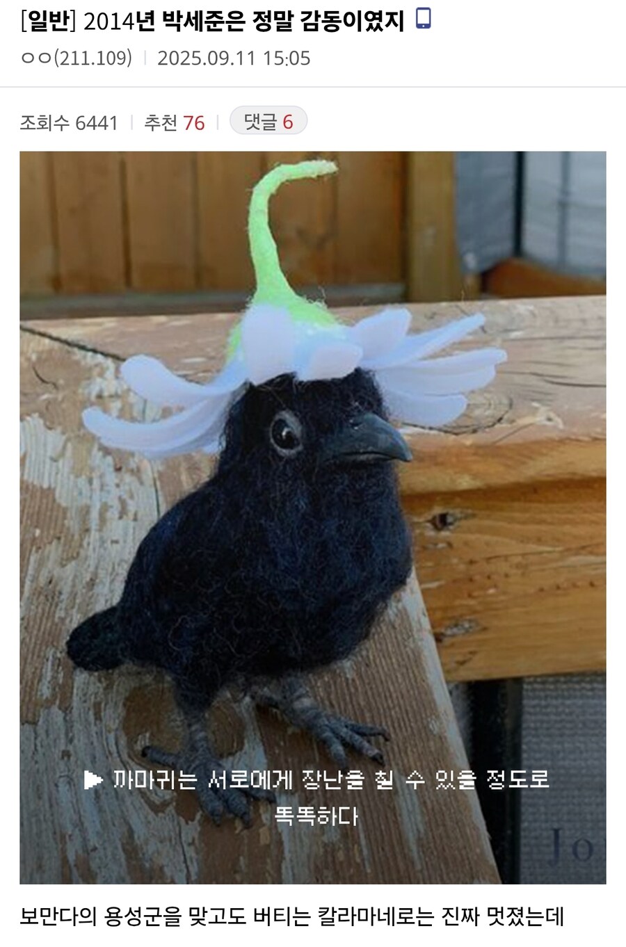 2014년 박세준은 정말 감동이었지_1.jpg