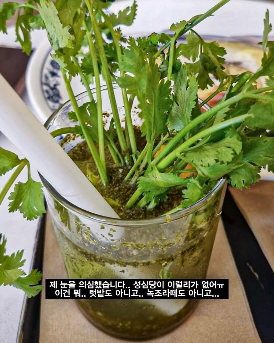 성심당의 선 넘는 텃밭 에디선 음료.JPG_2.jpg