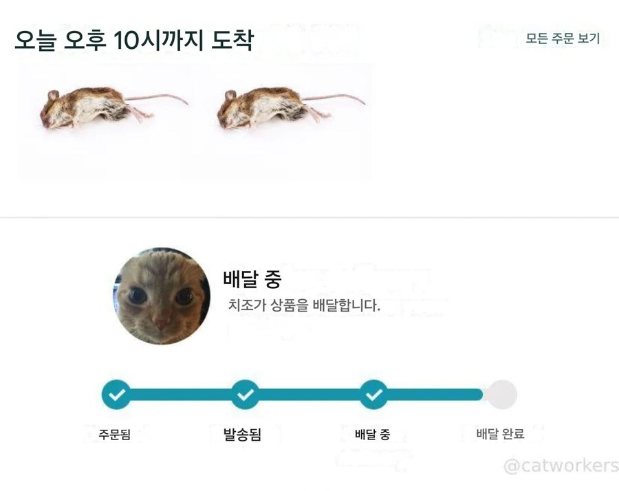 쥐 두마리 시키신 분?_2.jpg
