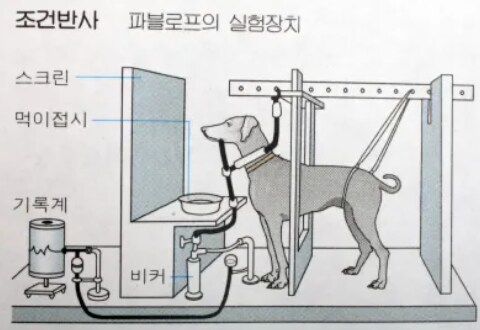 닌다 소식에 옛 버릇이 튀어나오는 레딧인_3.png