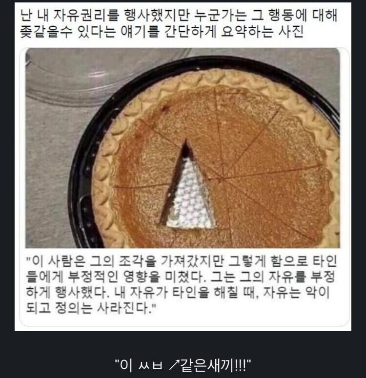 자유와 방종의 차이를 알 수 있는 짤_1.png