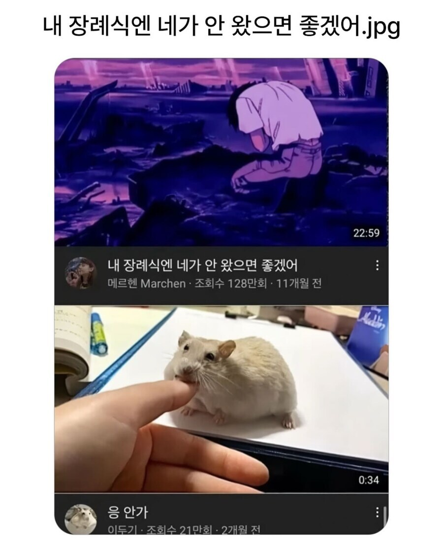 내 장례식엔 네가 안 왔으면 좋겠어.jpg_1.png