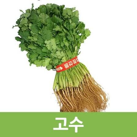 초보자는 못먹는다는 채소_1.jpg
