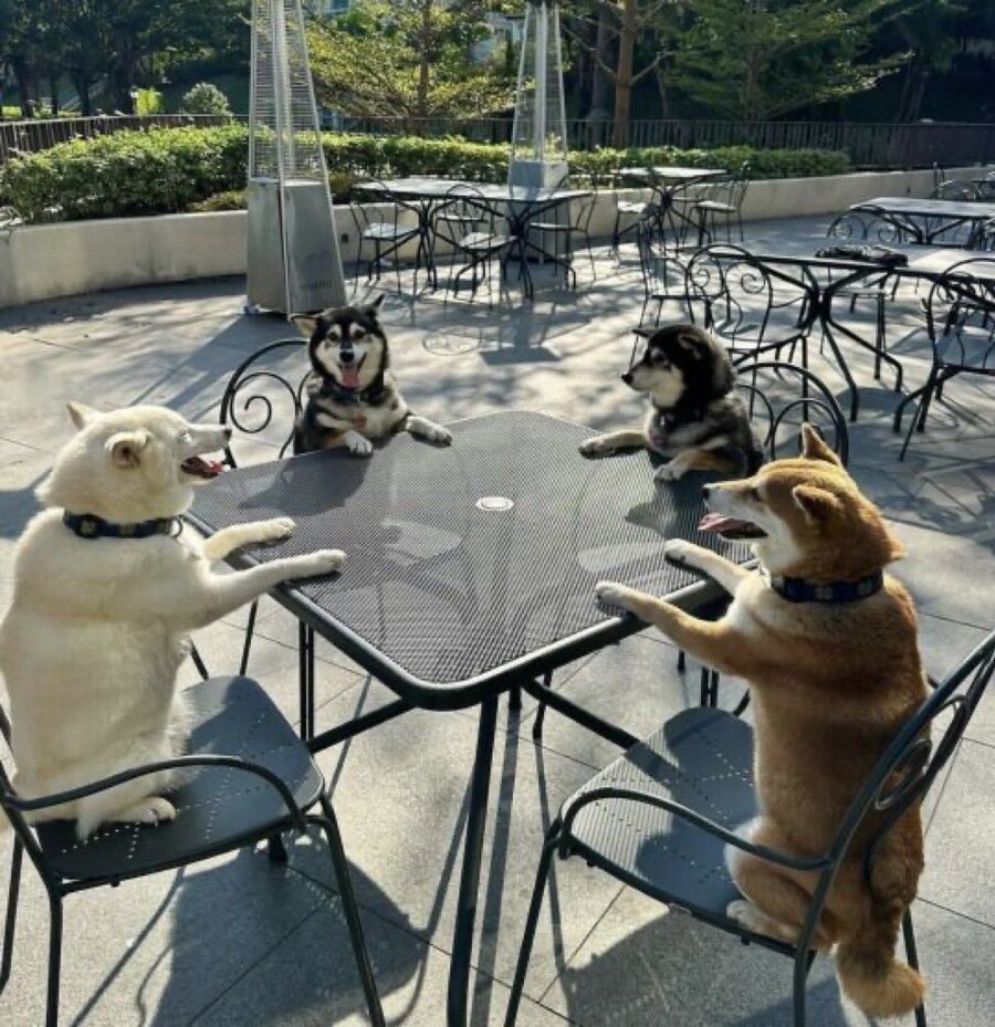 개같은 카페 손님들.jpg_1.jpg