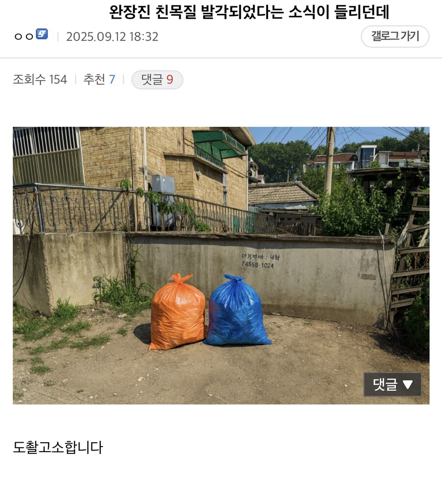 디씨 완장들 친목질하다 적발.jpg_1.jpg