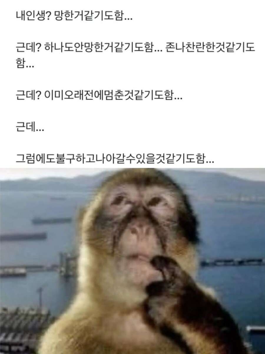 내 인생? 망한거같기도함..._1.jpg