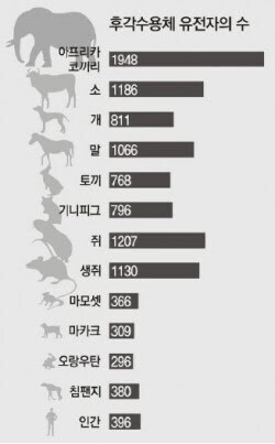 의외로 후각이 가장 좋다하는 동물_3.jpg