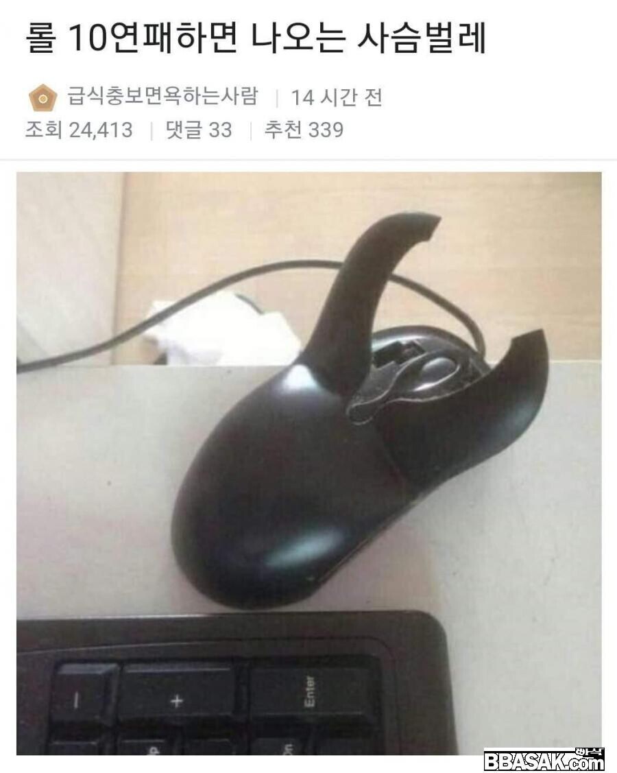 사슴벌레_1.jpg