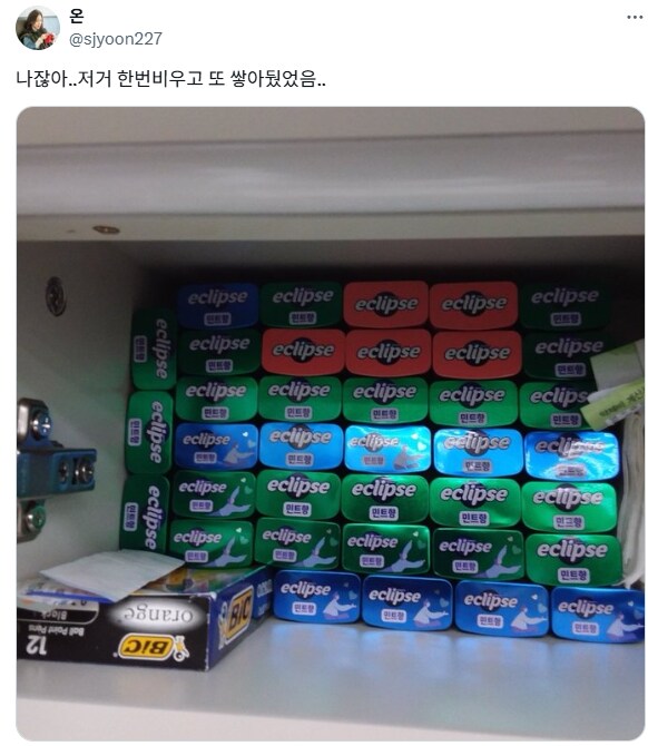 이클립스 빈통 못버리는 사람들.jpg_2.png