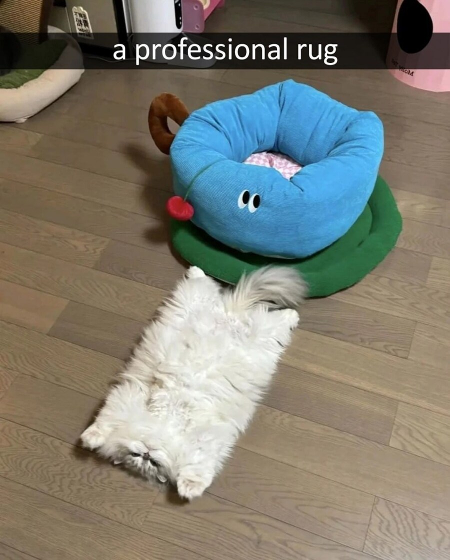 이 발닦개는 신기하게 생겼네_1.jpg