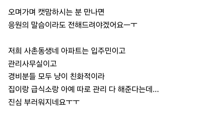 자기네 아파트에서 캣맘 규탄 여론 생겼다는 캣맘_2.jpg