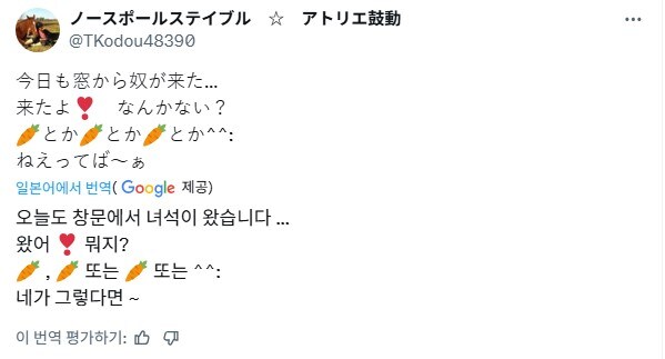 말들과 생활하며 겪는 소소한 일상.jpg_13.jpg