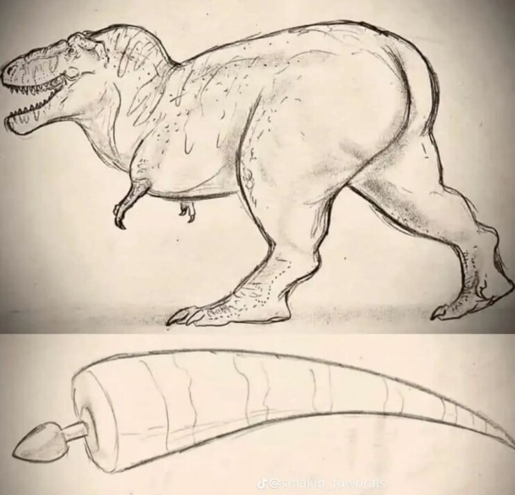티라노 꼬리 애널_1.png
