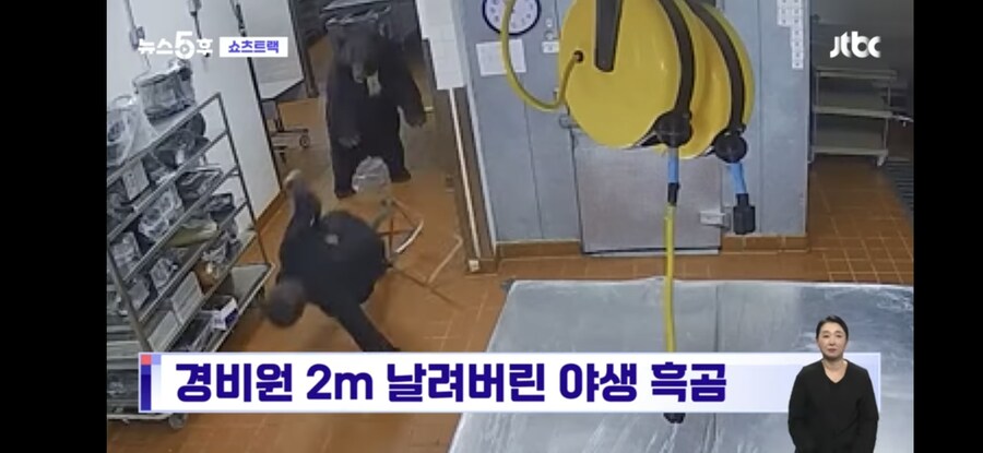 인기척이 느껴져서 가까이 가봤던 경비원이 본 생물체.jpg_3.jpg