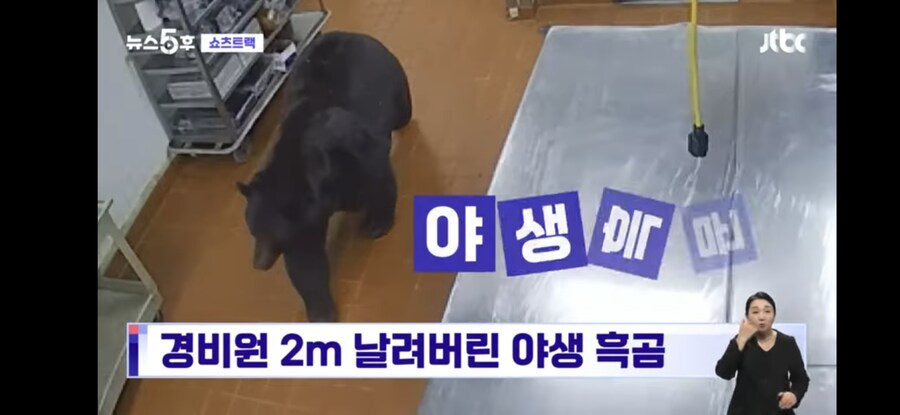 인기척이 느껴져서 가까이 가봤던 경비원이 본 생물체.jpg_5.jpg