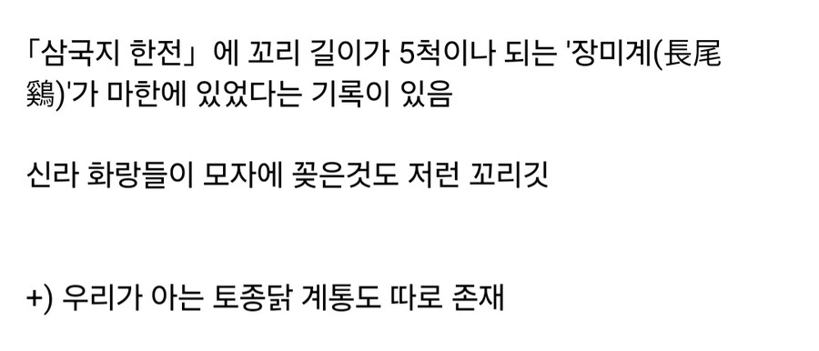 옛날 한국 토종닭 생김새_2.jpg
