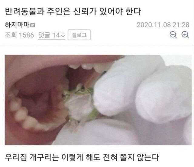 반려동물과 주인은 신뢰가 있어야 한다_1.jpg