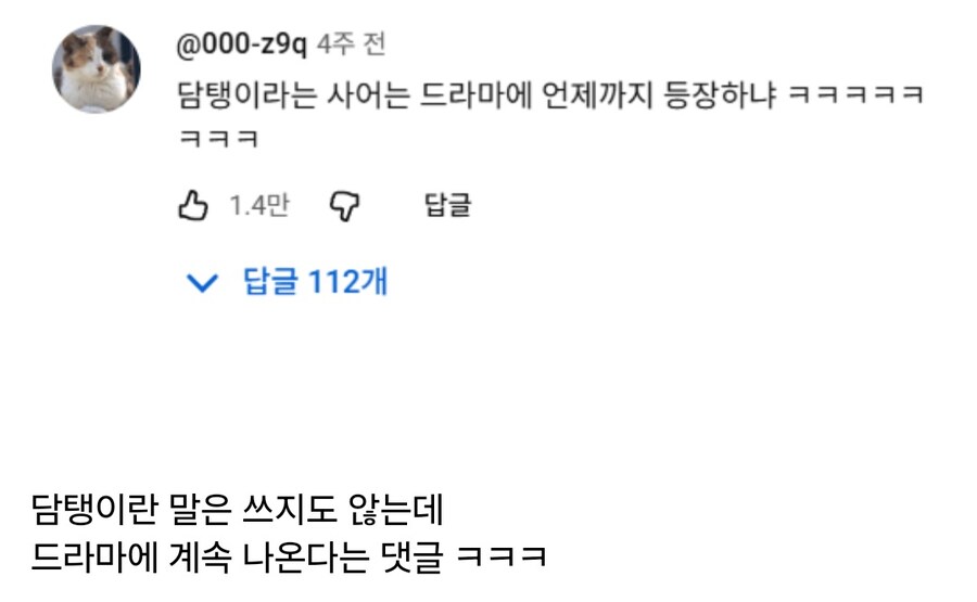 추천 1만개 넘개 받은 유툽 댓글_1.jpg