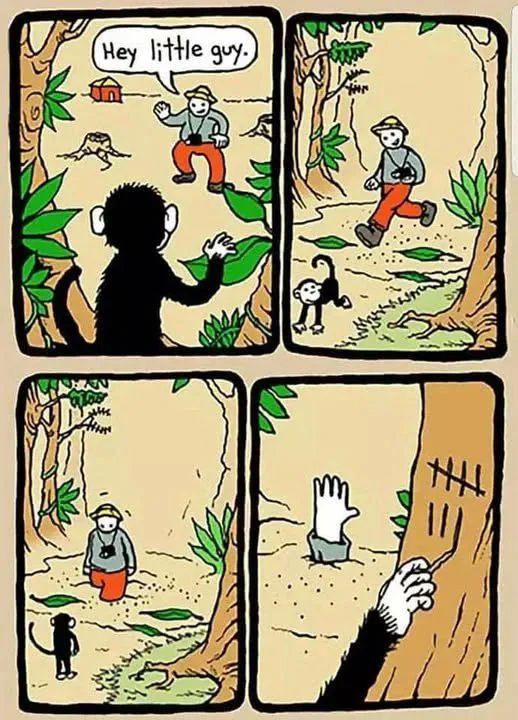 원숭이를 따라가면 안되는 이유_1.webp