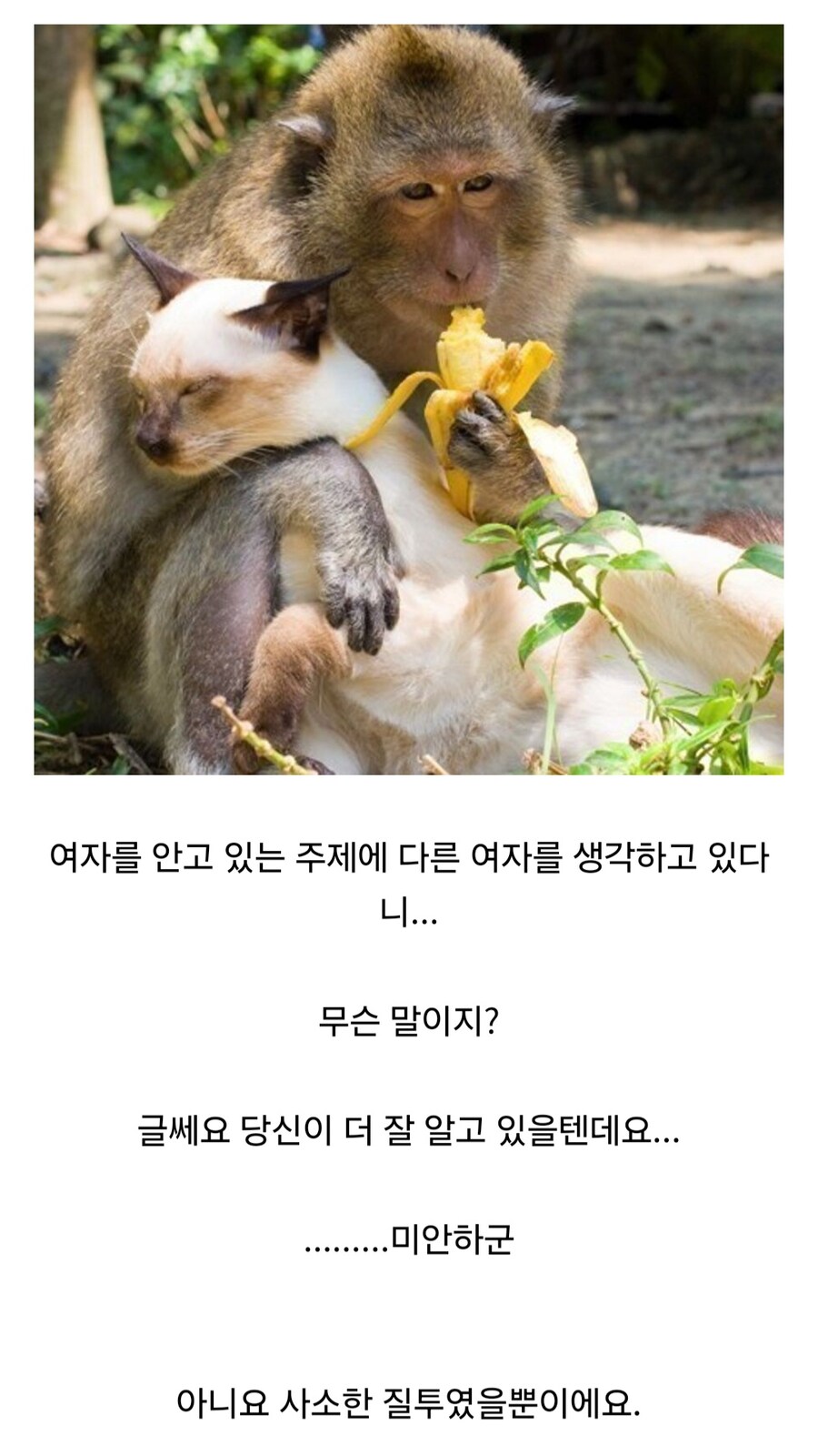 서투른 남자_1.jpg