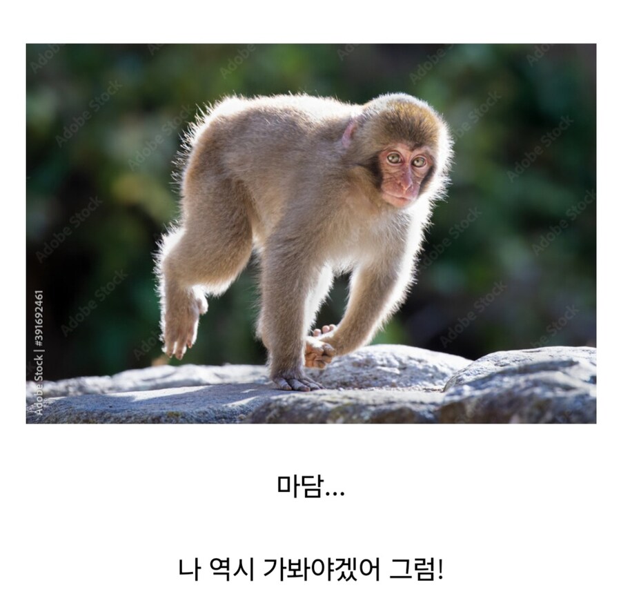 서투른 남자_2.jpg