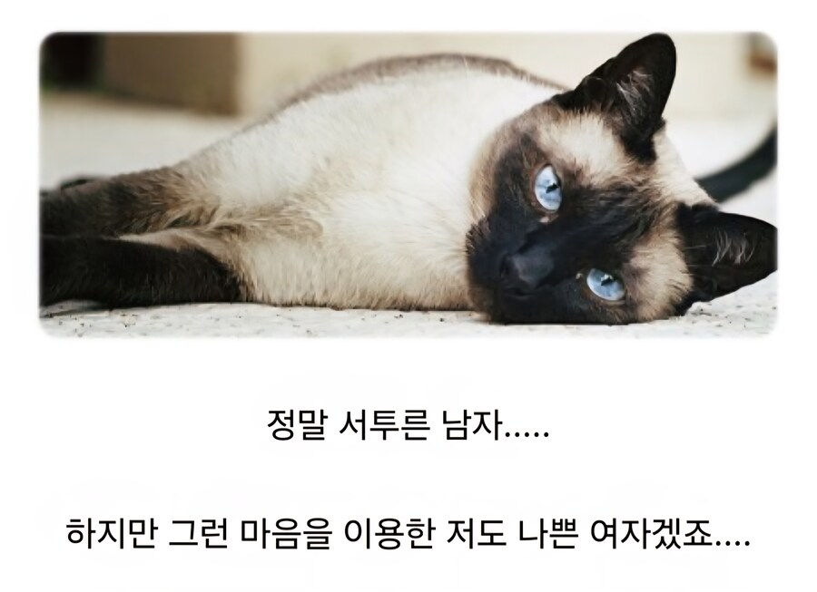 서투른 남자_3.jpg