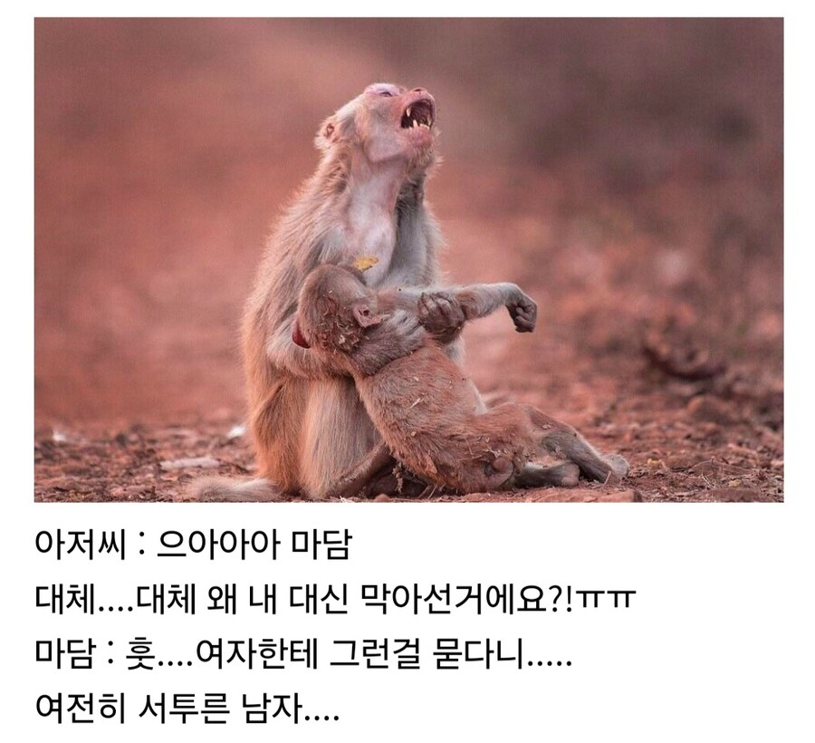 서투른 남자_4.jpg