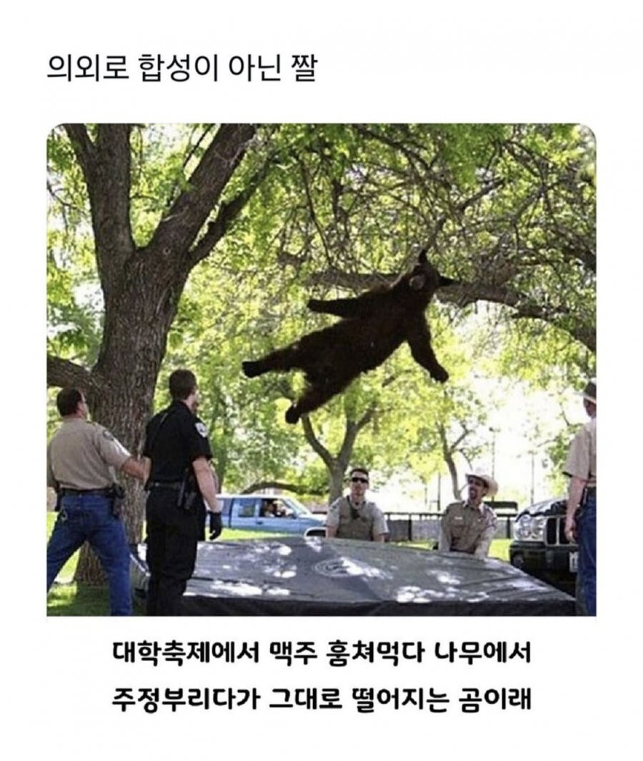 아직도 사람들이 믿지 못하는 것_1.jpg