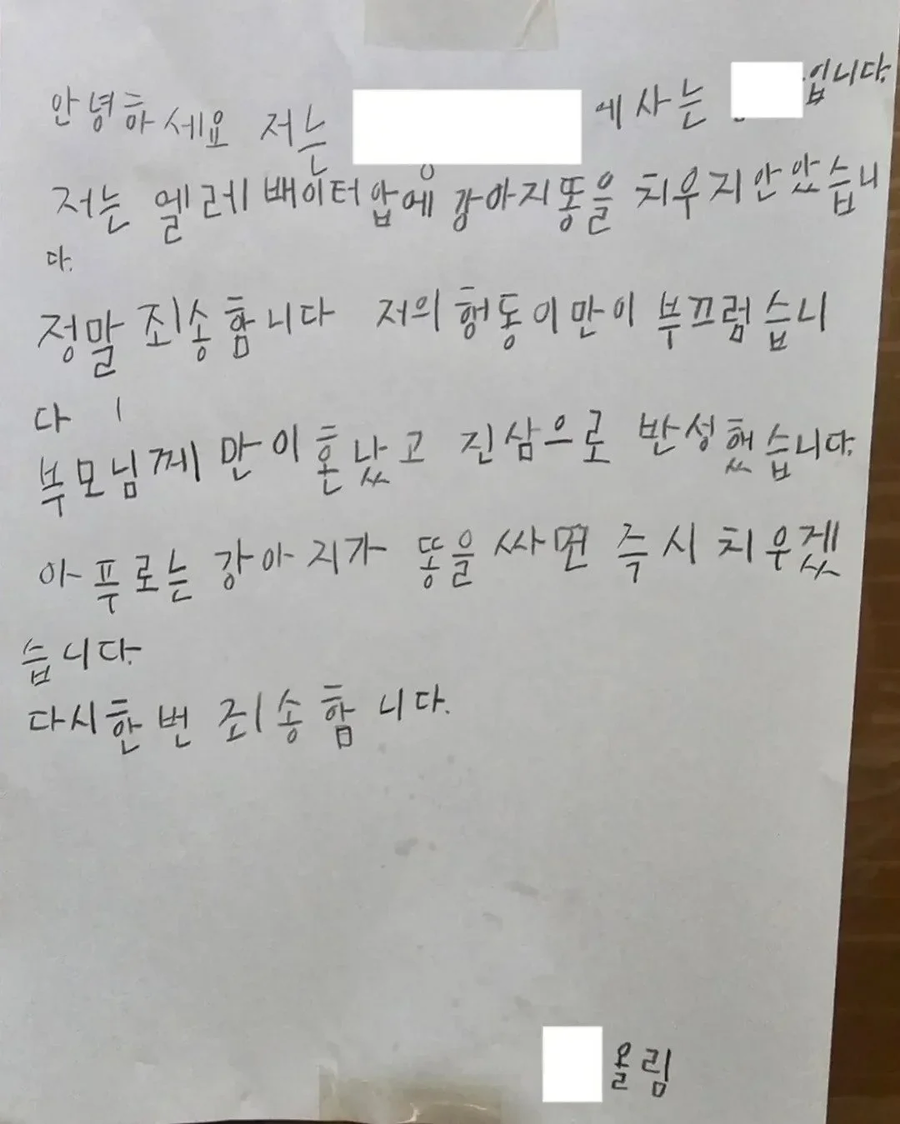 올바른 사과문_2.webp