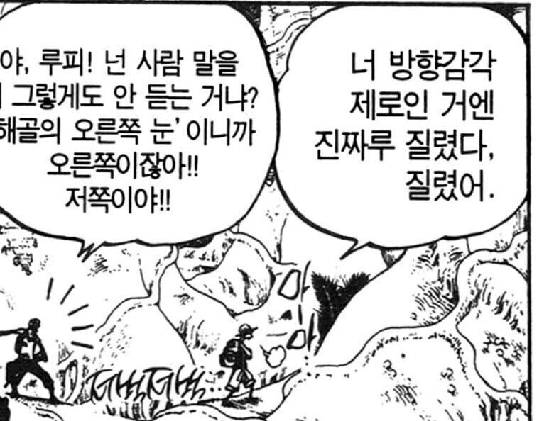 심각한 원작훼손을 벌인 원피스 일러스트_2.jpg