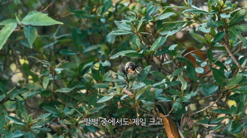 뒈지기 싫으면 절대 따라하면 안되는 행동_22.jpg