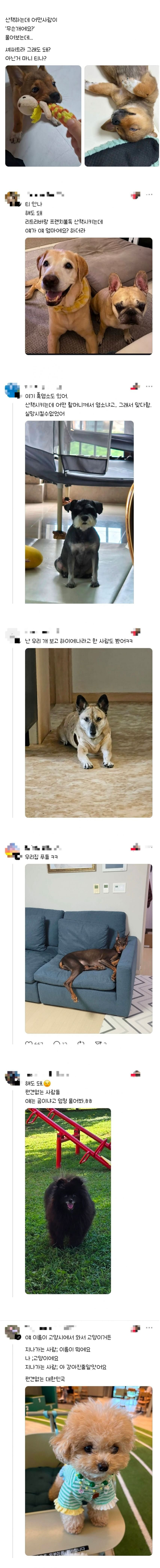 강아지에 대한 편견이 없는 사람들_1.jpg