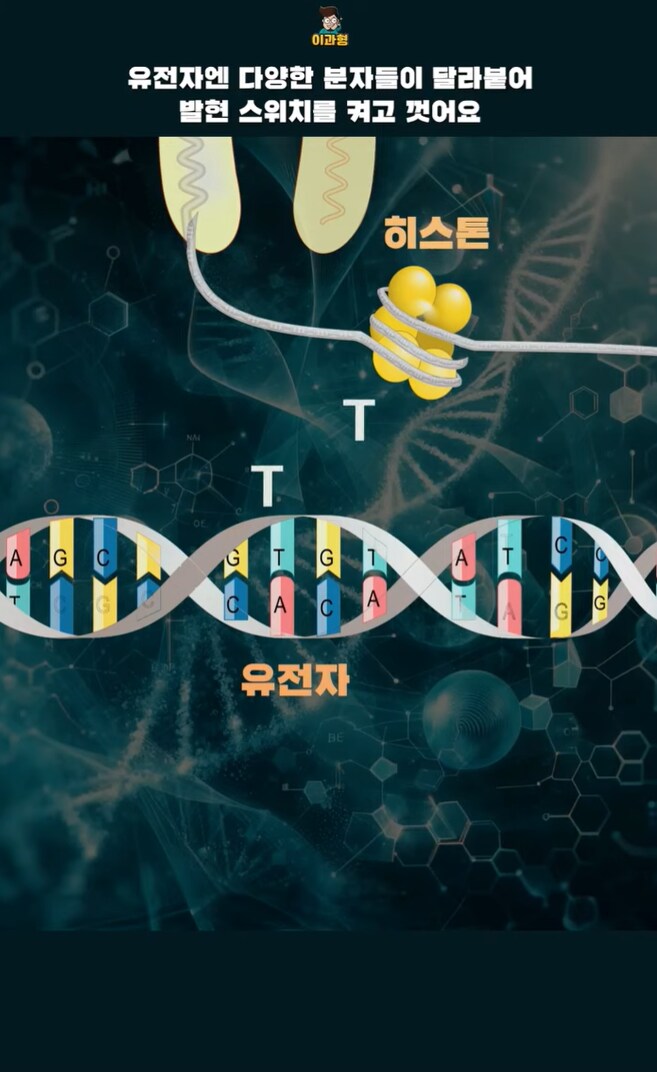 유전학에서의 의외의 상식_6.png