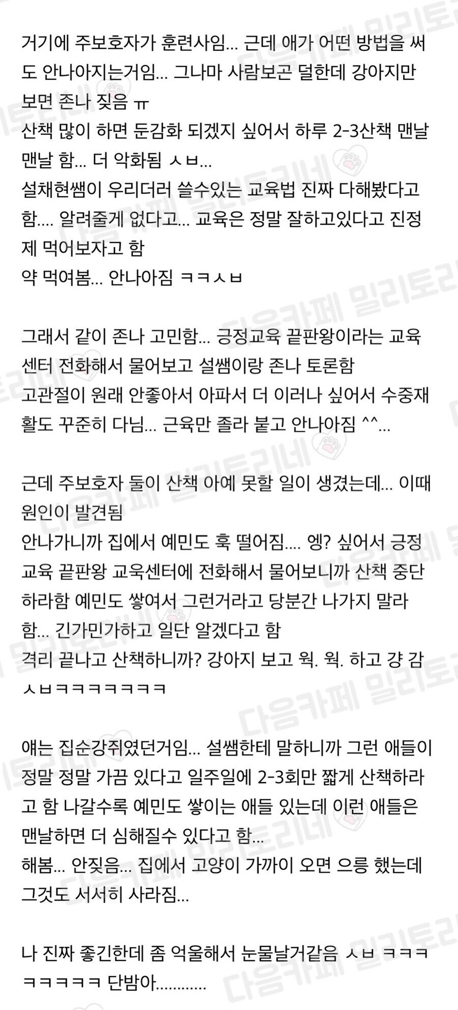 반려견이 산책을 무서워 해서 고쳐보려고 쌩 고생을 다 해 본 결과.jpg_2.jpg