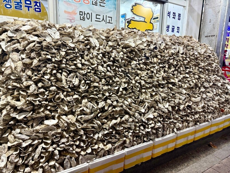 한국에서 노로바이러스 감염이 많은이유_5.png