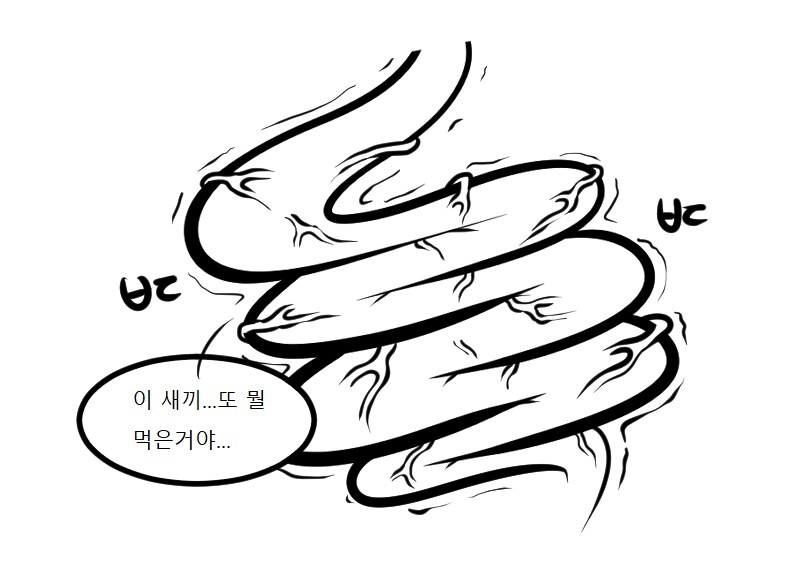 한국에서 노로바이러스 감염이 많은이유_7.png