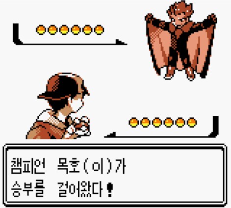 전설의 비행타입 챔피언_2.png