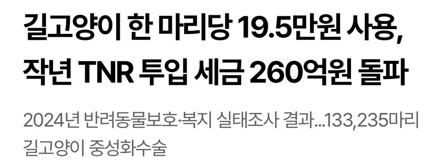 중성화비용 1년에 260억원, 길고양이 1마리당 19.5만원 사용_1.jpg