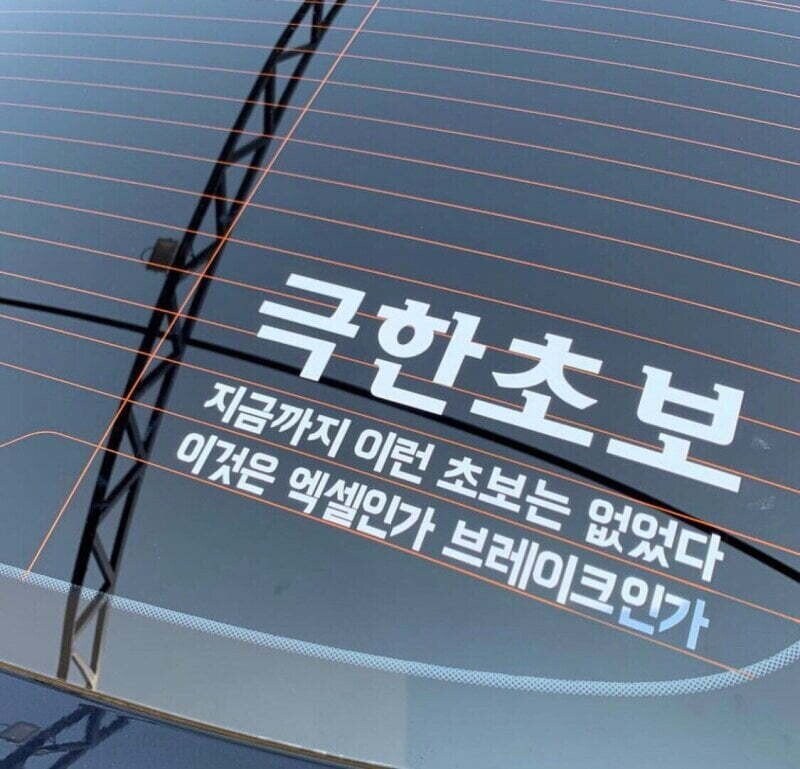 극한초보: 지금까지 이런 초보는 없었다.jpg_1.jpg