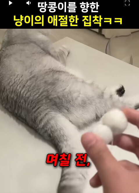 집사 새1끼가 악마 그잡체인 경우_1.jpg