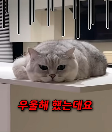 집사 새1끼가 악마 그잡체인 경우_7.jpg