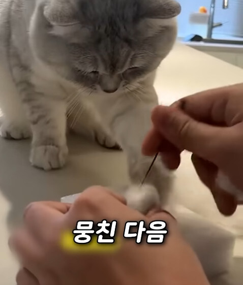 집사 새1끼가 악마 그잡체인 경우_11.jpg
