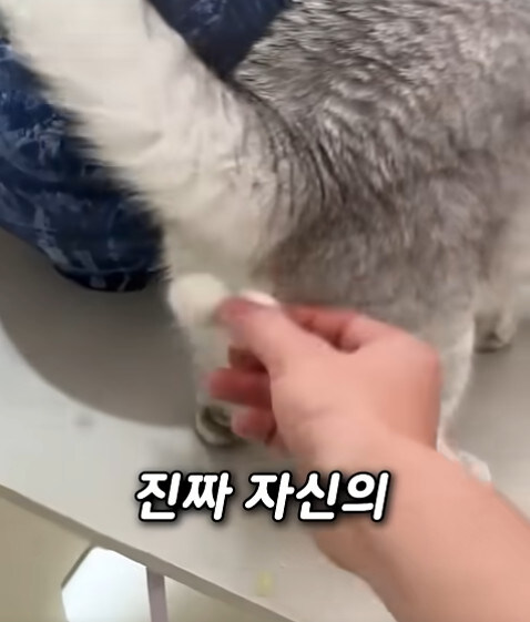 집사 새1끼가 악마 그잡체인 경우_14.jpg