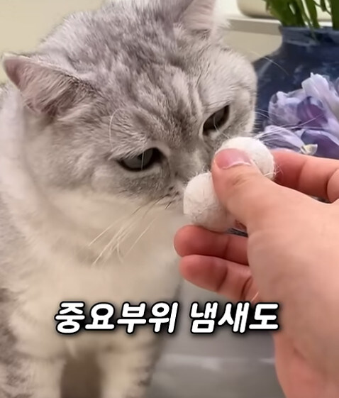 집사 새1끼가 악마 그잡체인 경우_18.jpg