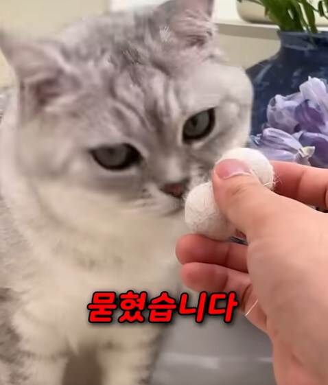 집사 새1끼가 악마 그잡체인 경우_19.jpg