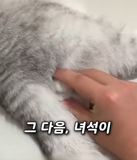 집사 새1끼가 악마 그잡체인 경우_20.jpg