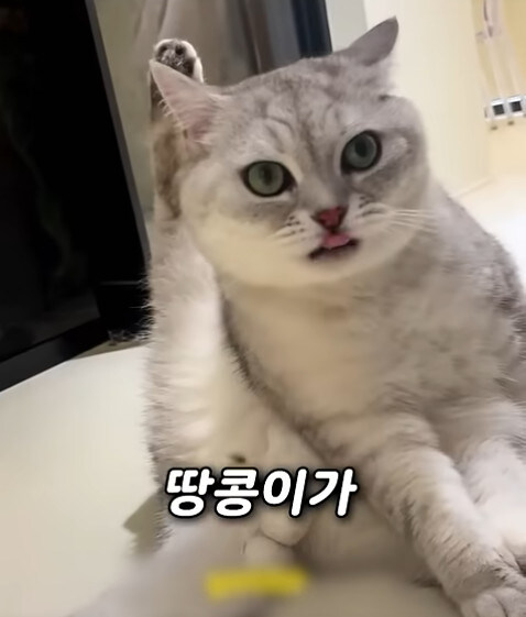 집사 새1끼가 악마 그잡체인 경우_25.jpg