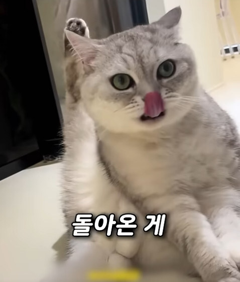 집사 새1끼가 악마 그잡체인 경우_26.jpg